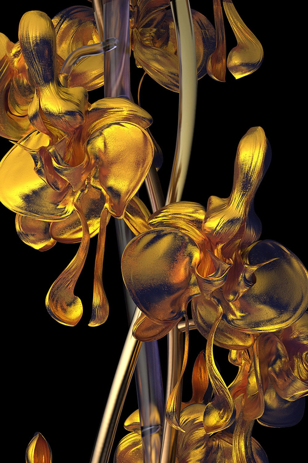 Flora