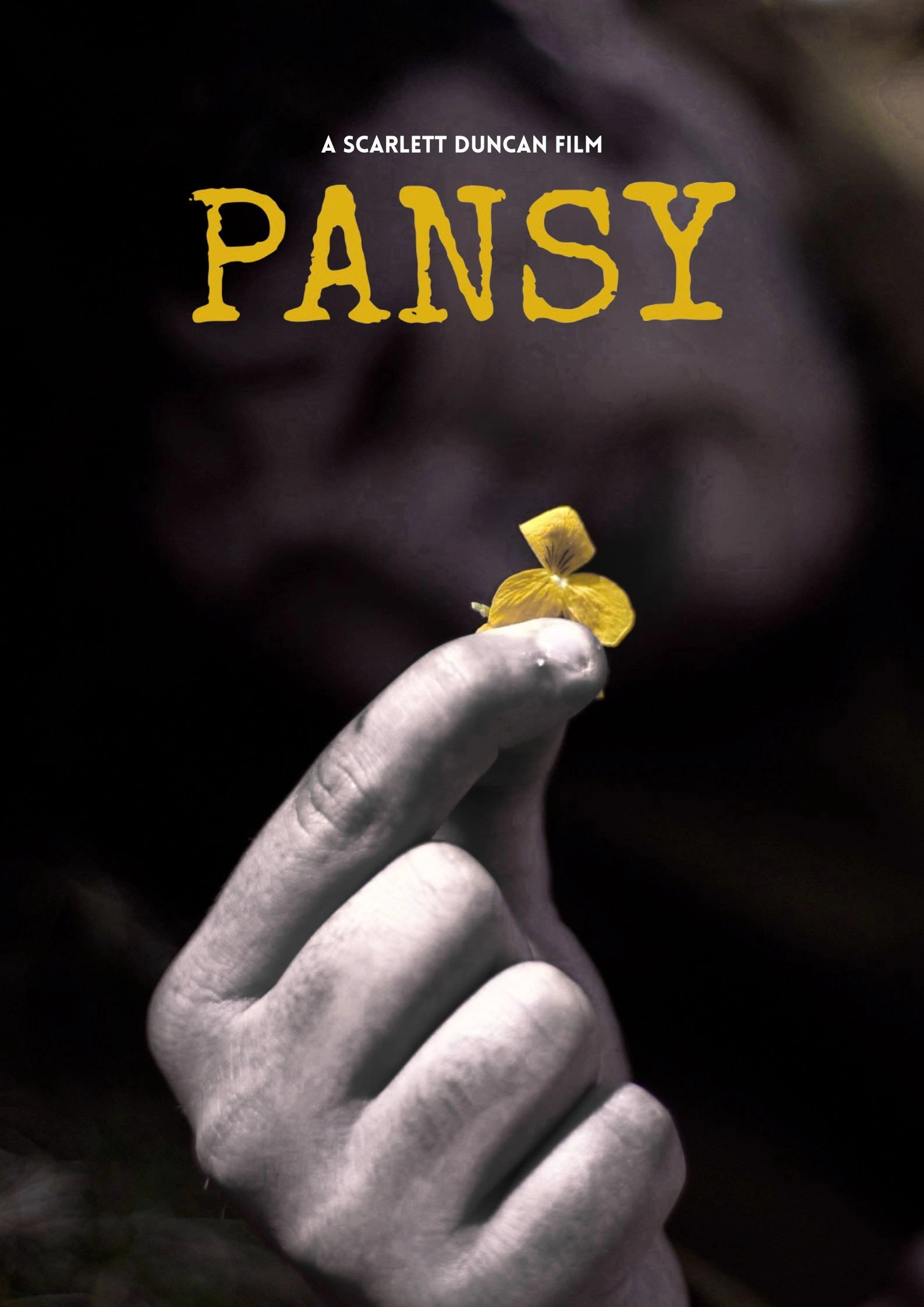 Pansy