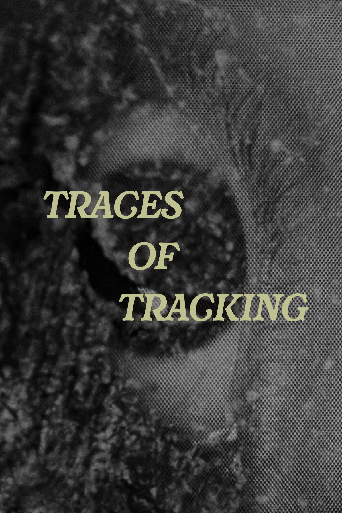 Traces of Tracking