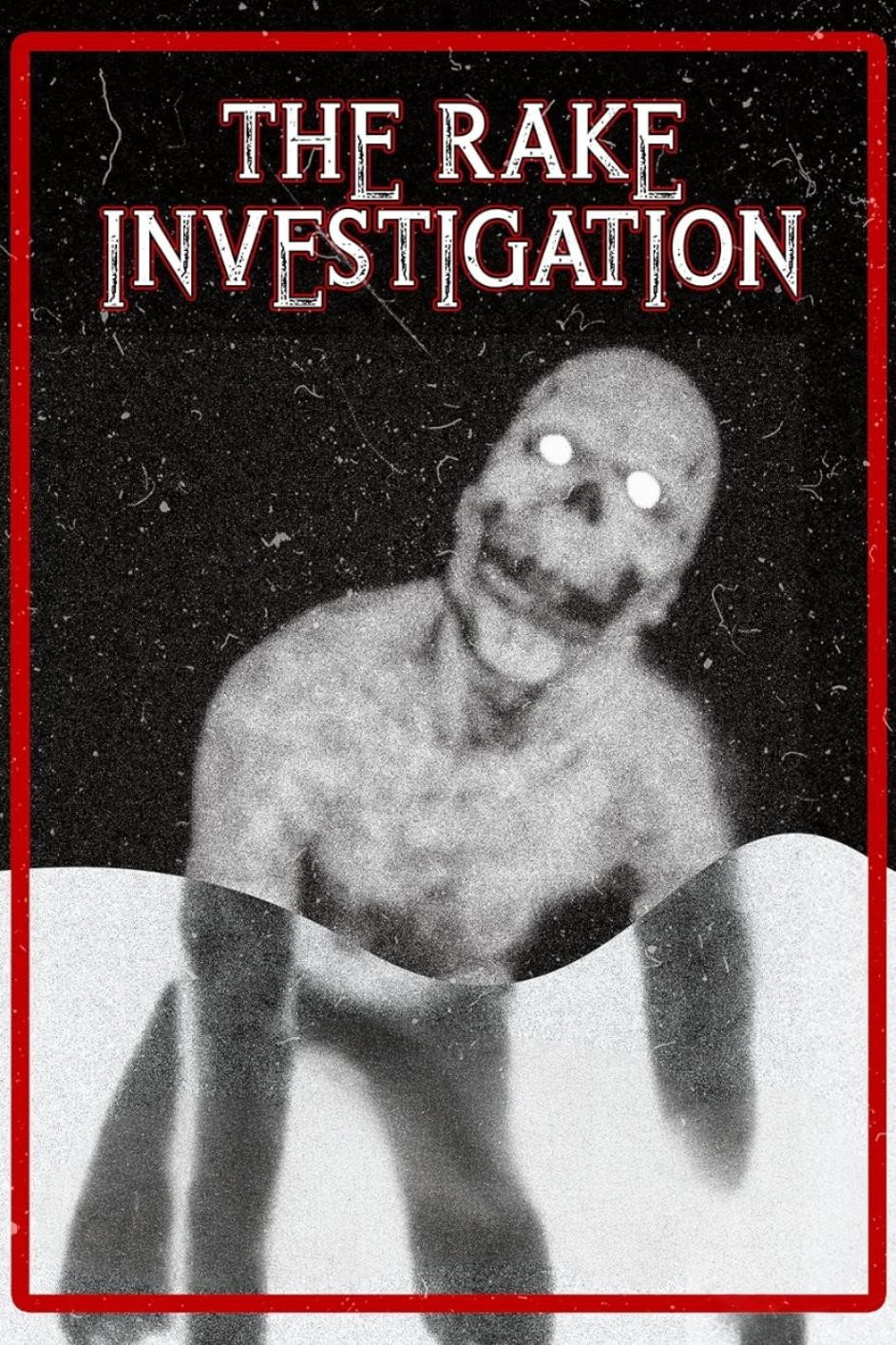 The Rake Investigation