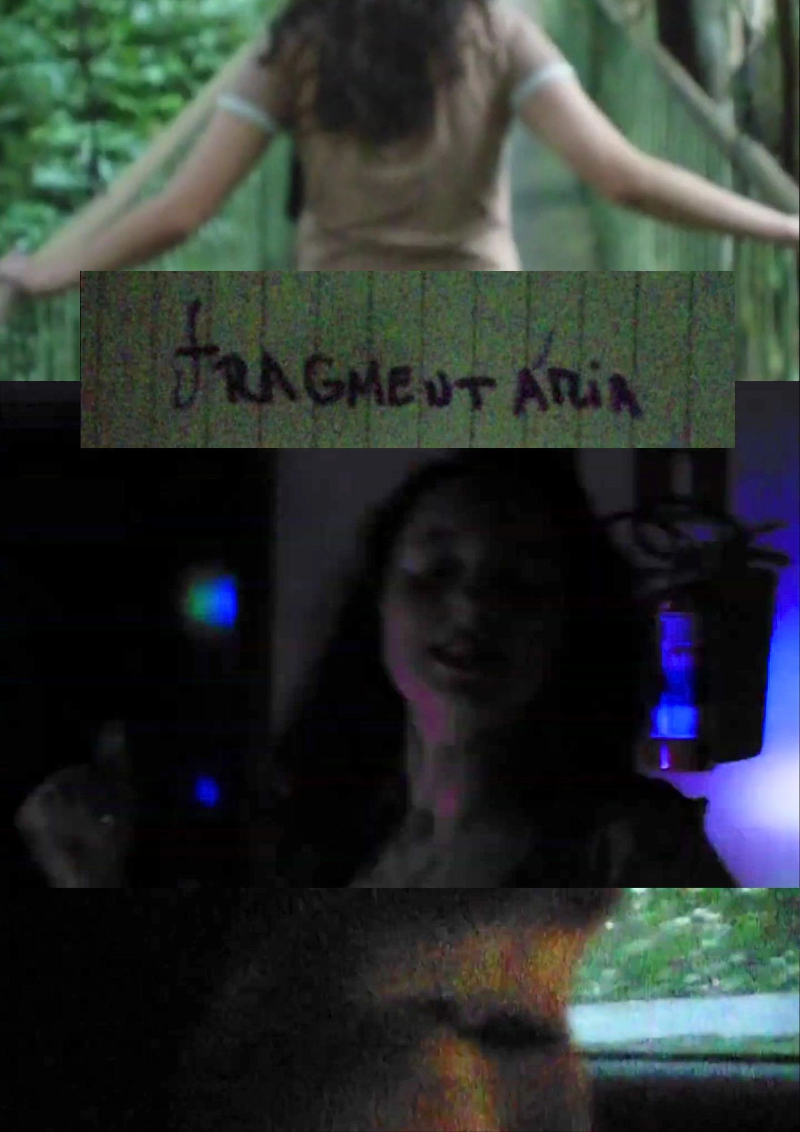 Fragmentary