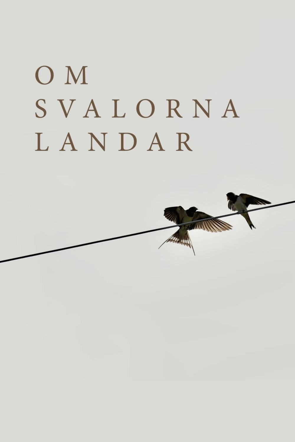 Om svalorna landar