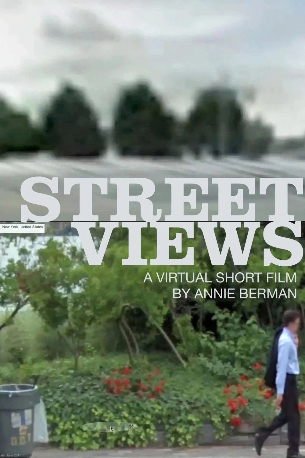 Street Views