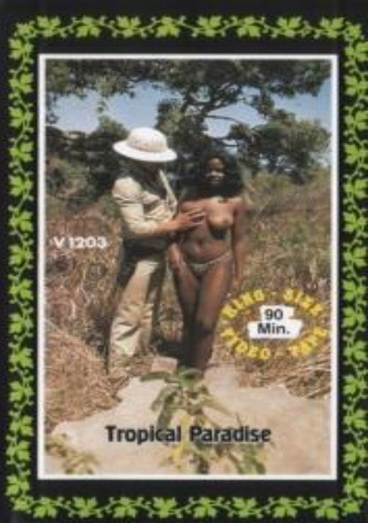 Tropical Paradise