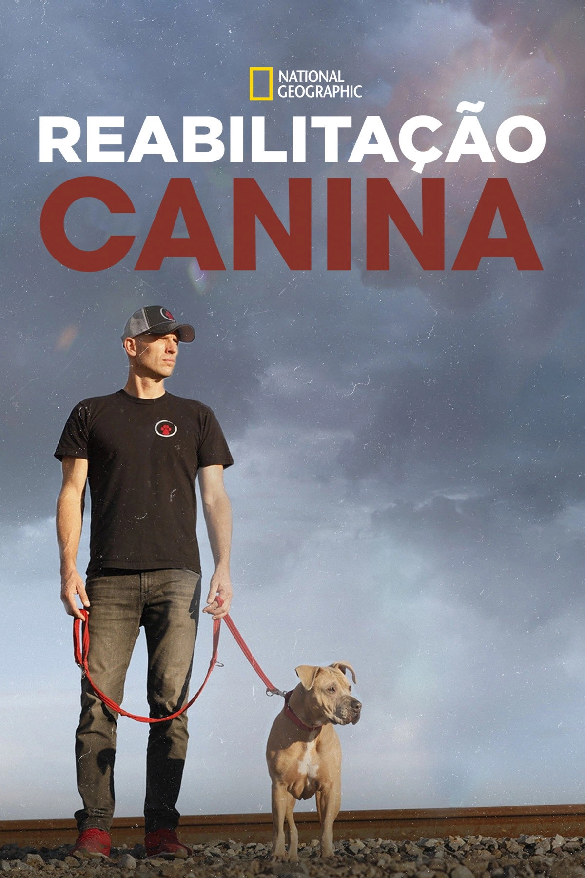 Dog: Impossible