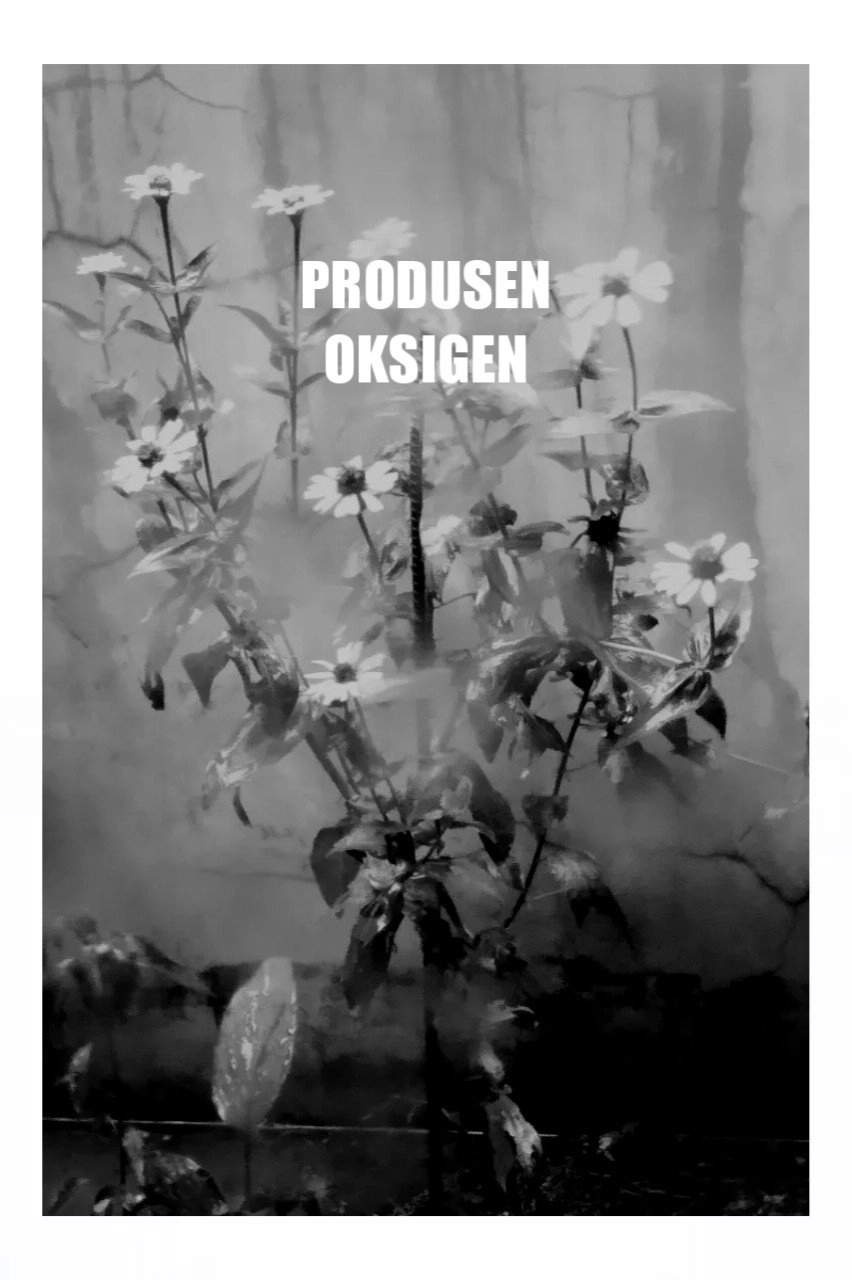 Produsen Oksigen