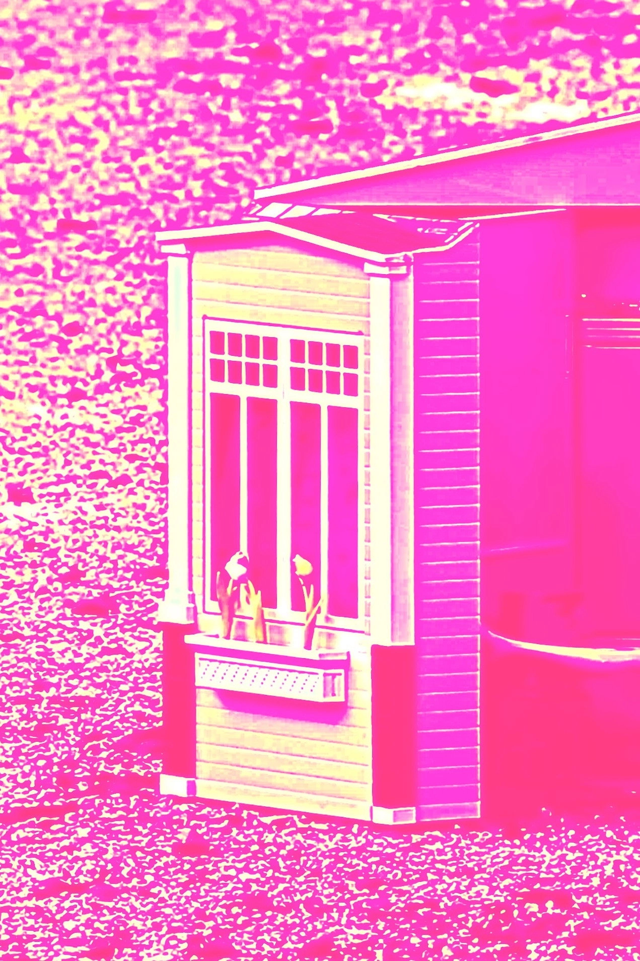 CARNE-FICCIÓN
