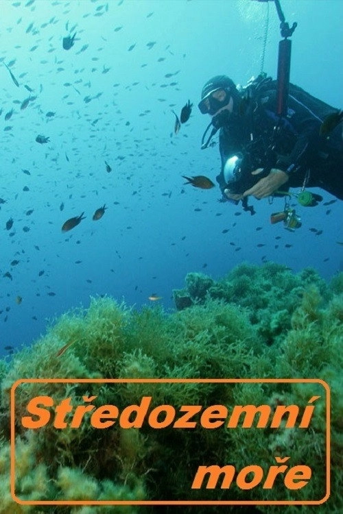 Mediterranean Sea