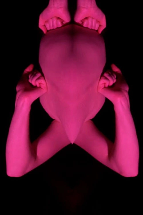 We Are Humans