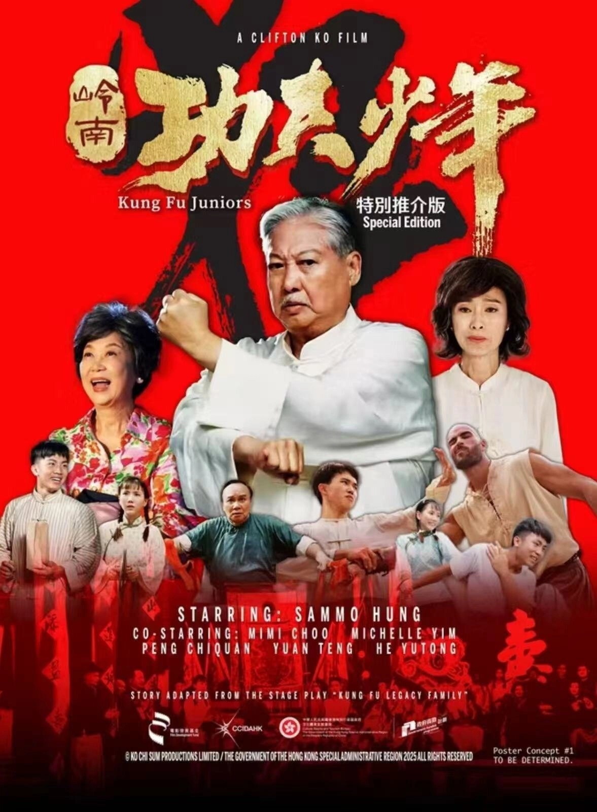Kung Fu Juniors
