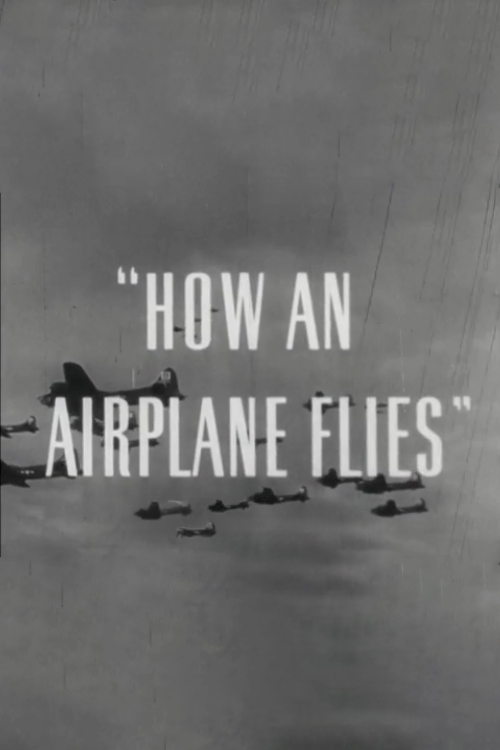 How An Airplane Flies