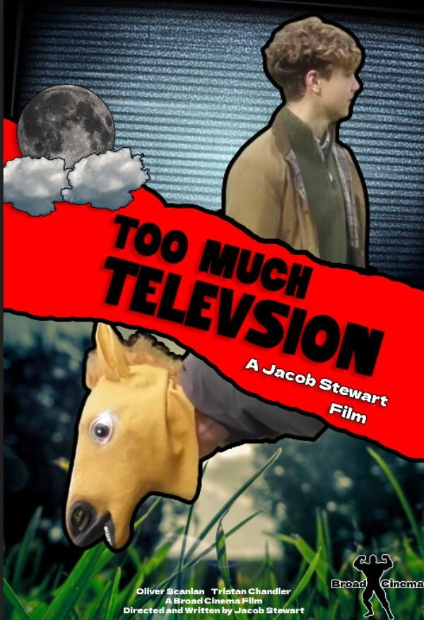Too Much Television