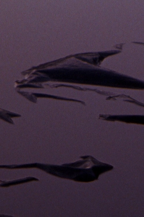 Plastic Aortas