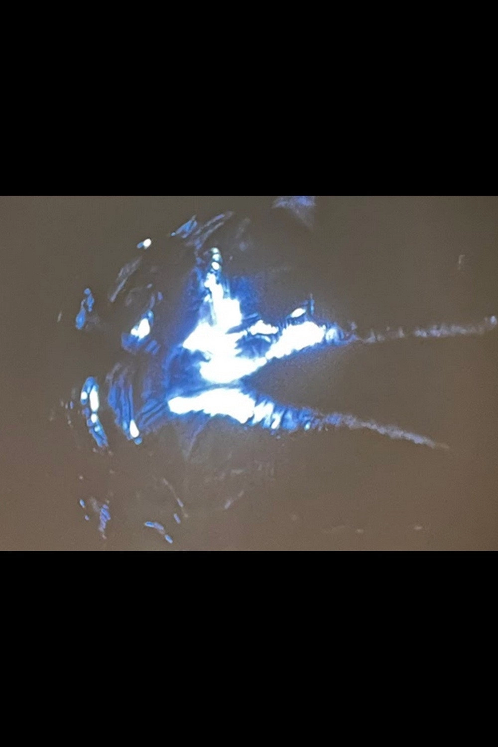 Ice