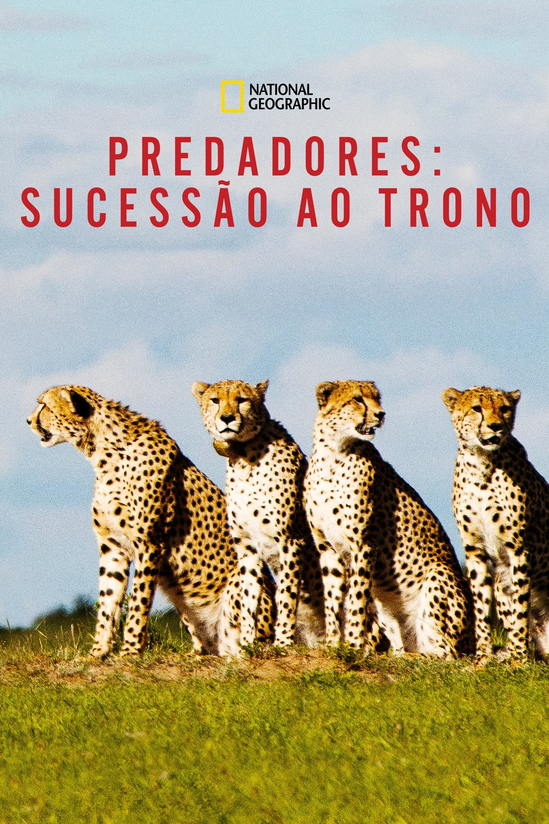 Predator Bloodlines