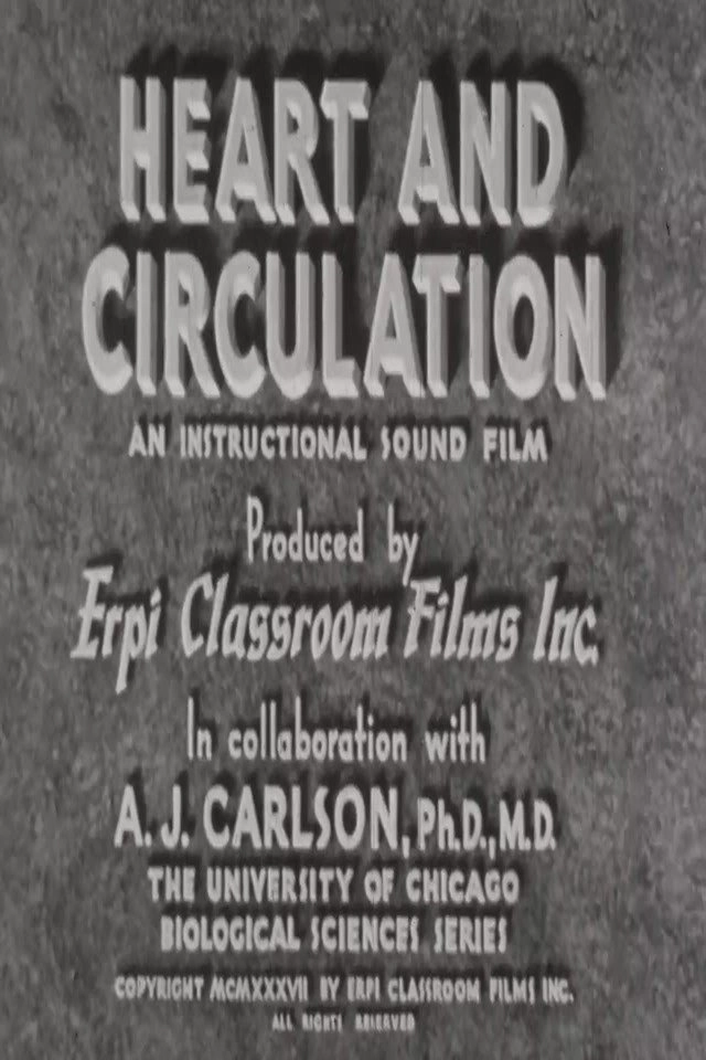 Heart and Circulation