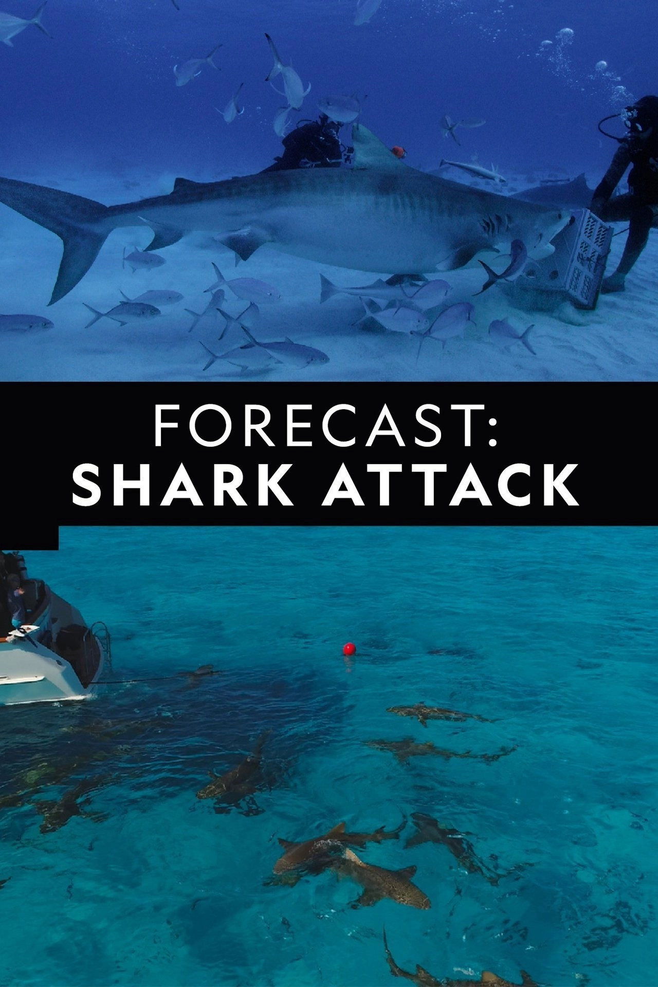 Forecast Shark Attack
