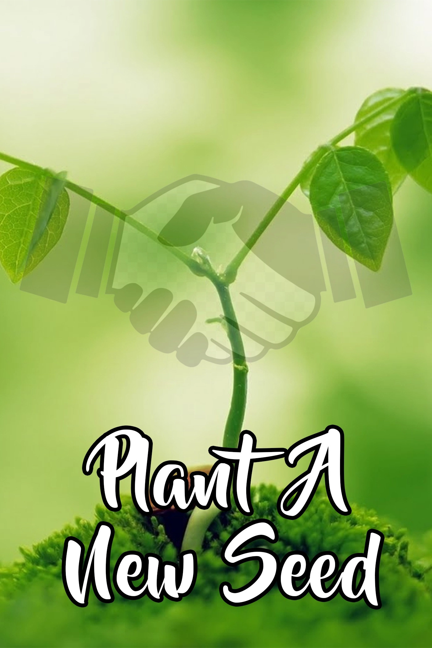 Plant A New Seed
