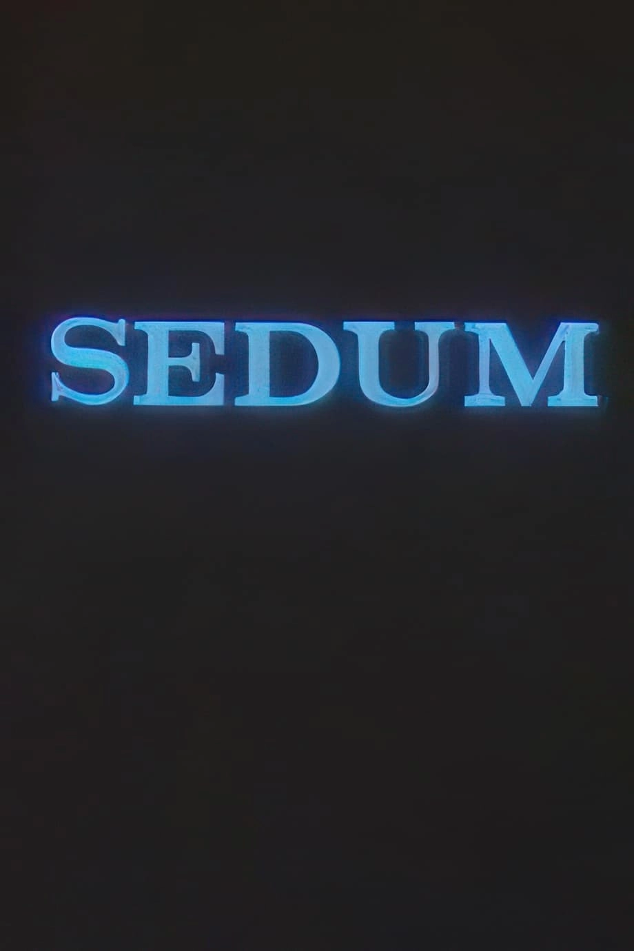 The Seven