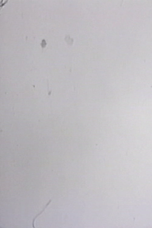 One Frame Duration
