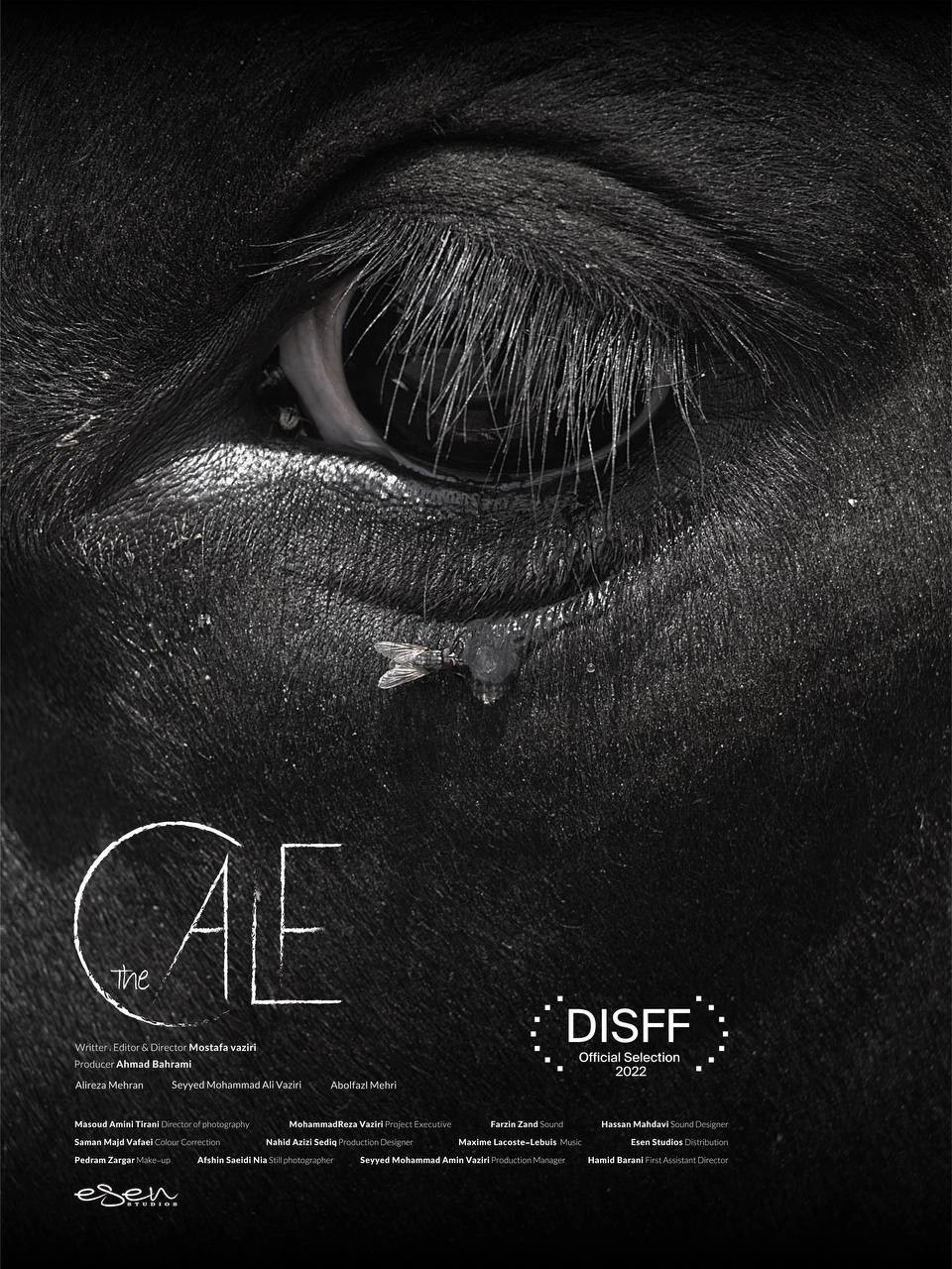 The Calf