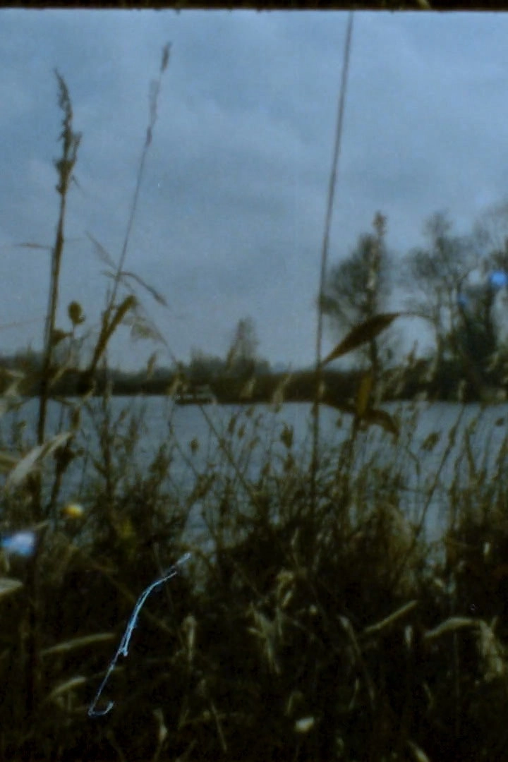 Landscape as Landscape - 24