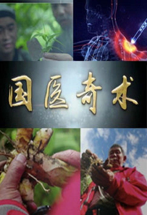 国医奇术