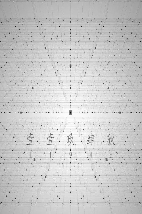1194D