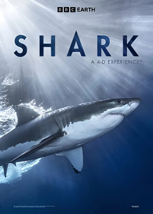 Shark: A 4D Experience
