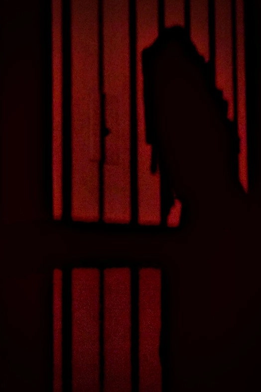 Shadows Came Calling