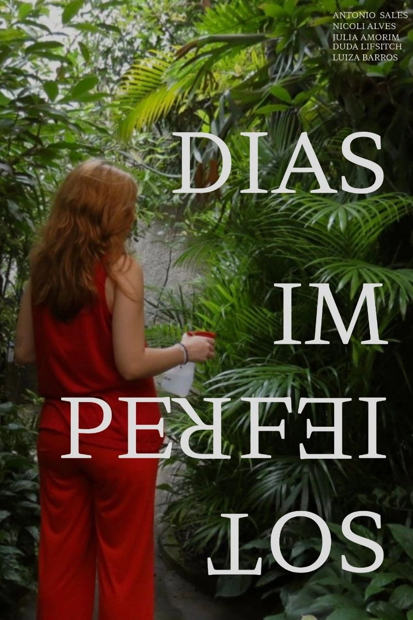Dias Imperfeitos