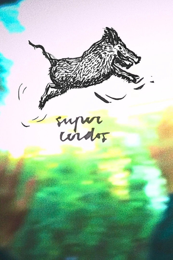 SUPERPIGS