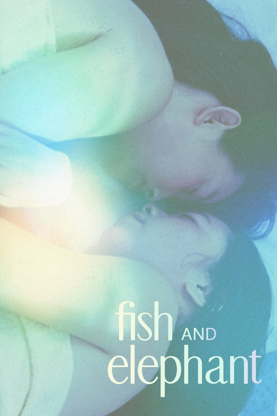 Fish and Elephant