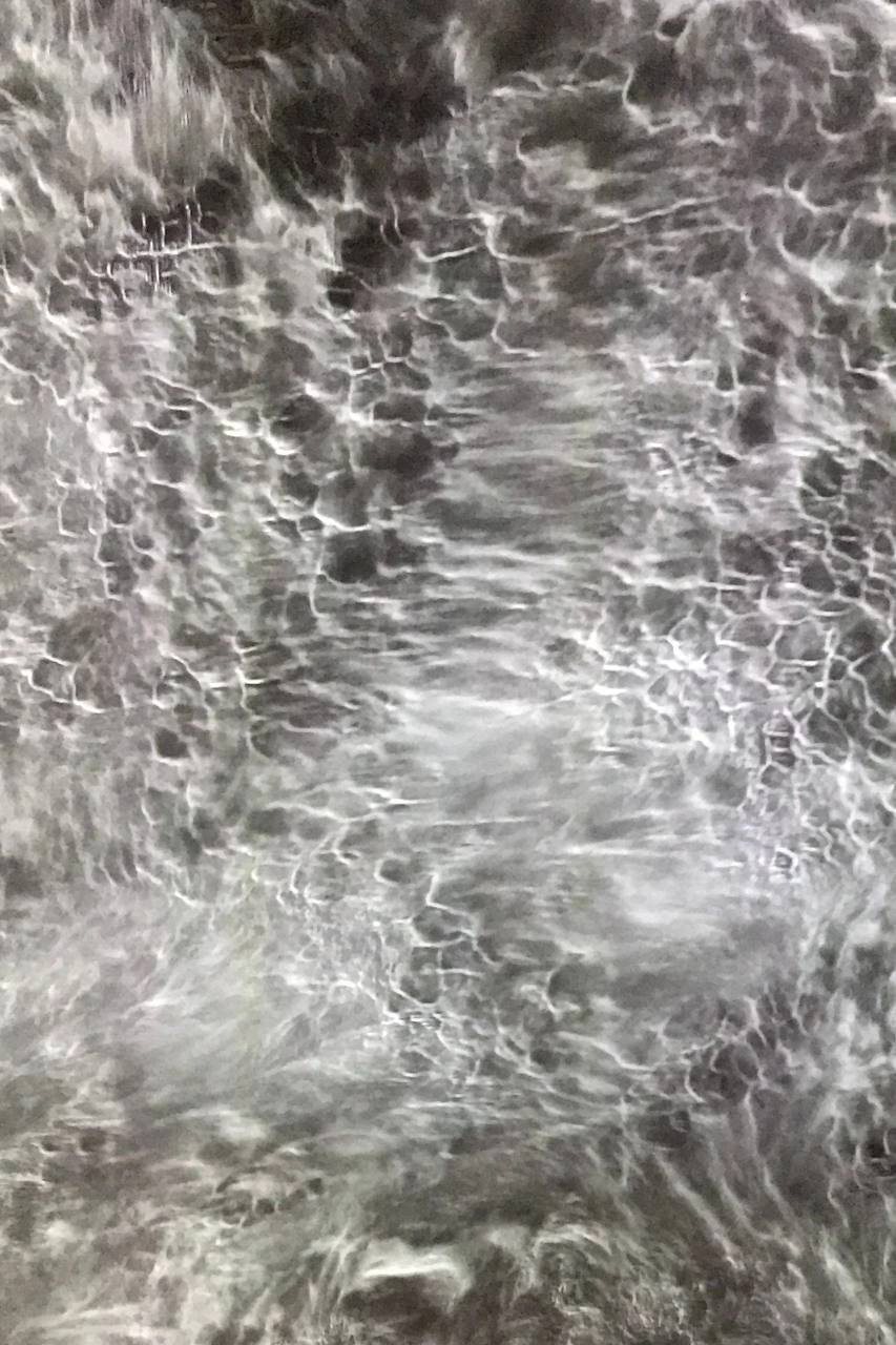 Sentient Ocean