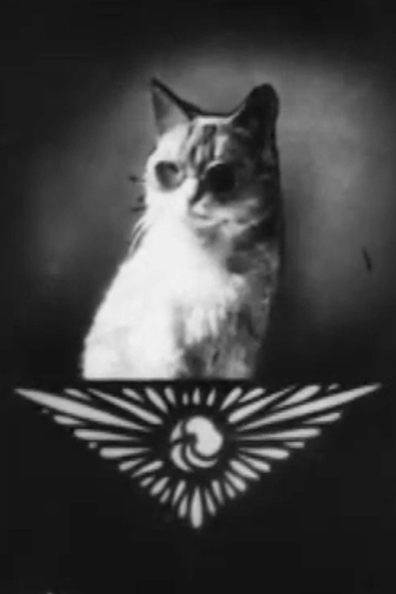 Pussy's Glasses