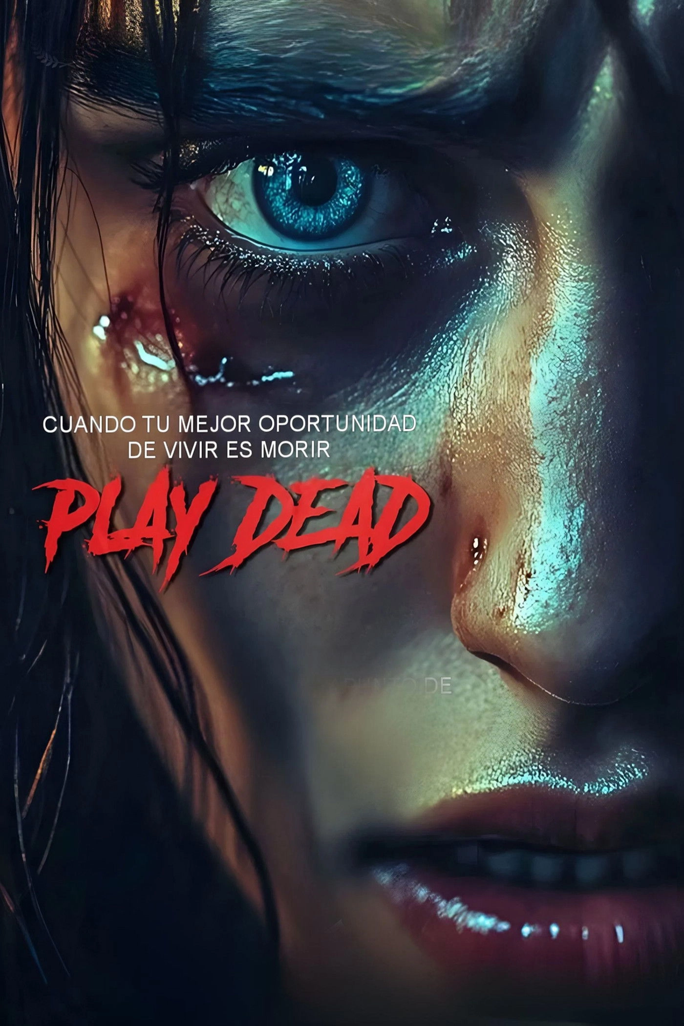 Play Dead