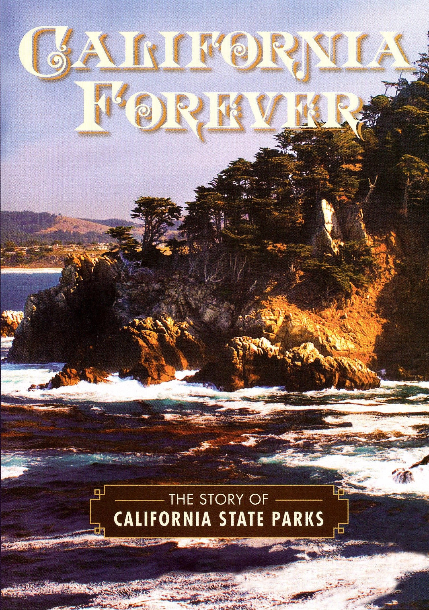 California Forever