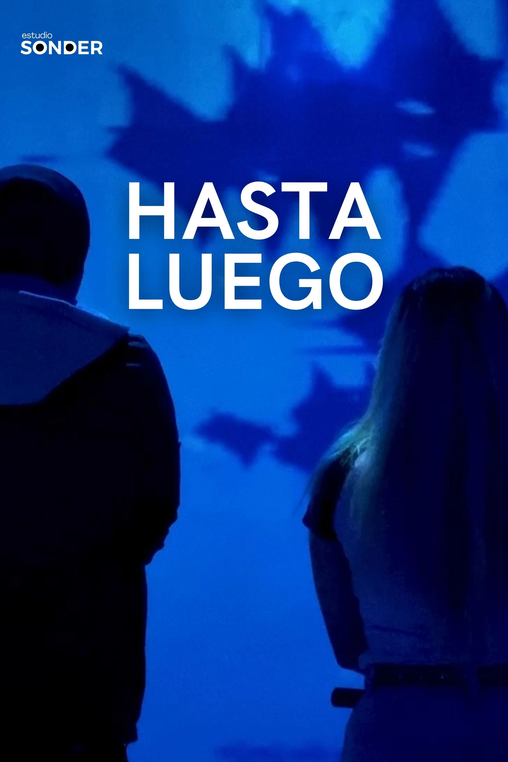 Hasta Luego