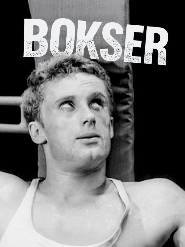 Boxer
