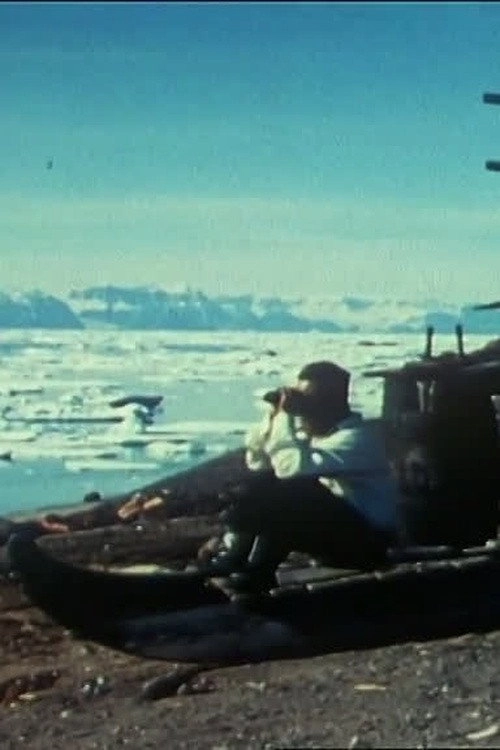 Ice Bank in Summer
