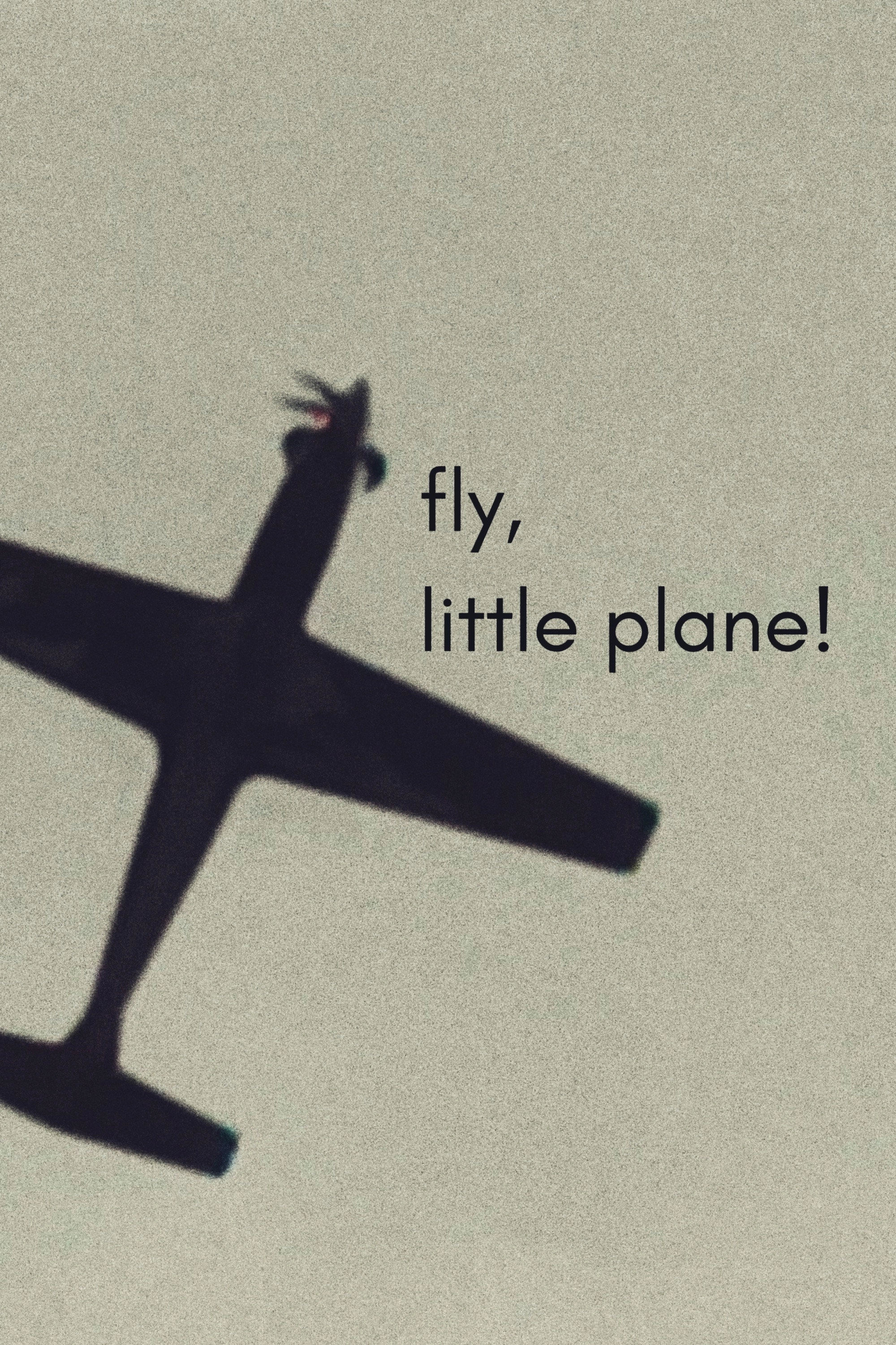 fly, little plane!