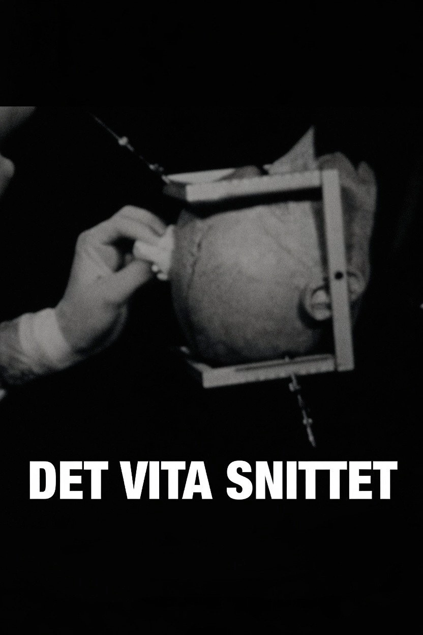 Det vita snittet