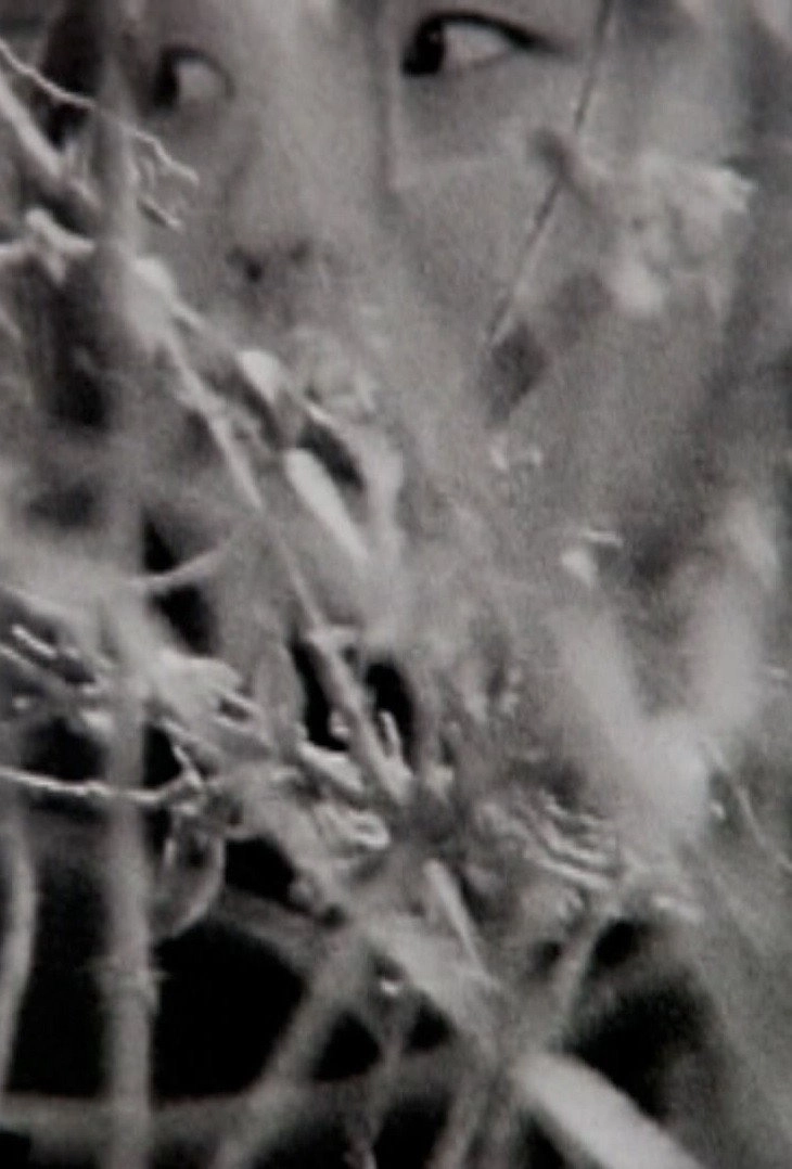 Visible Cinema