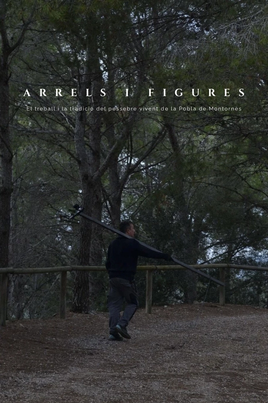 Roots and figures