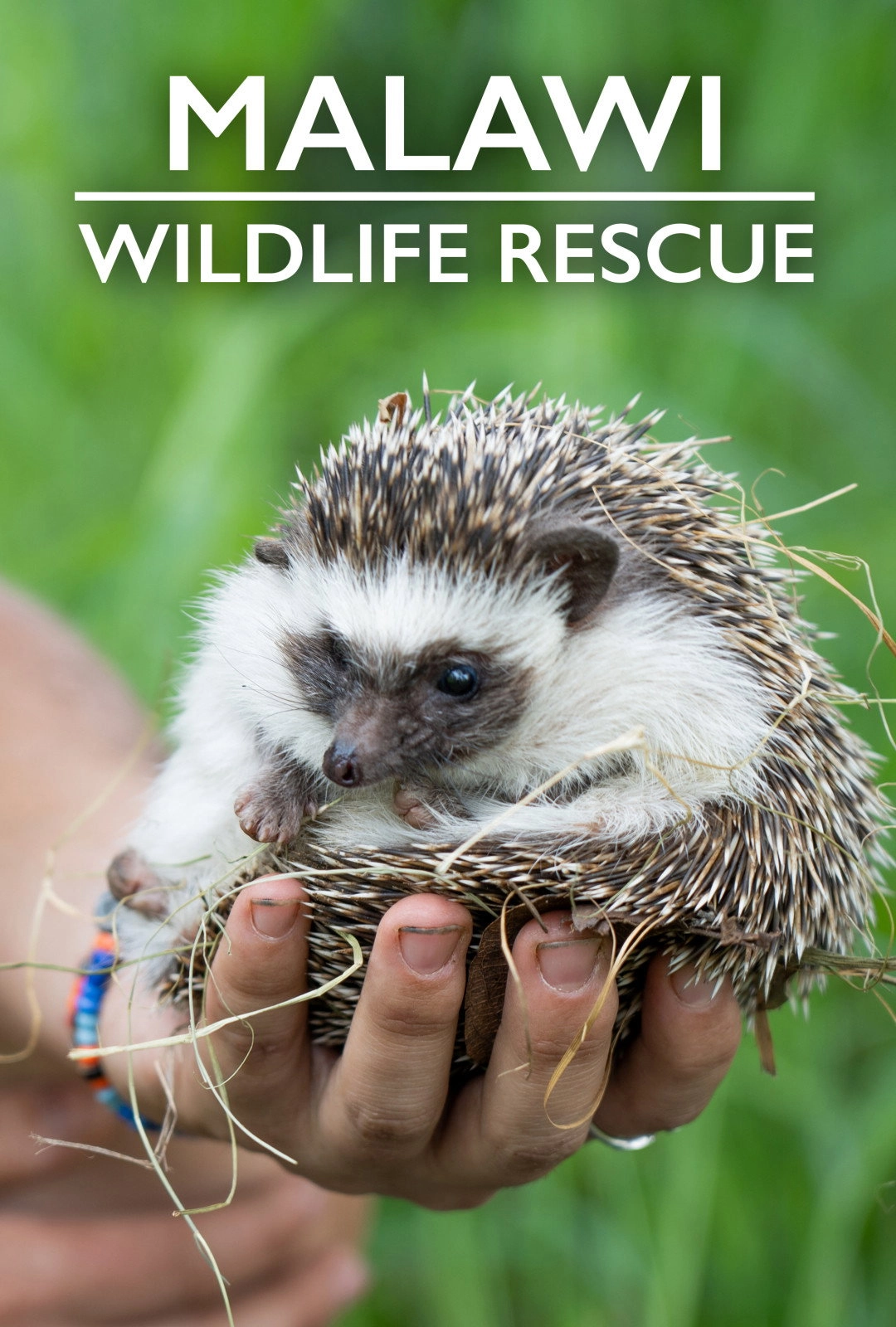 Malawi Wildlife Rescue
