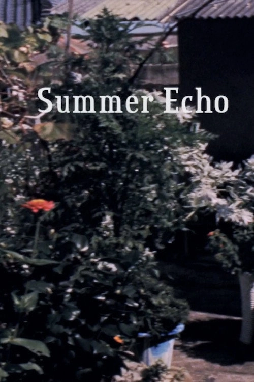 Summer Echo