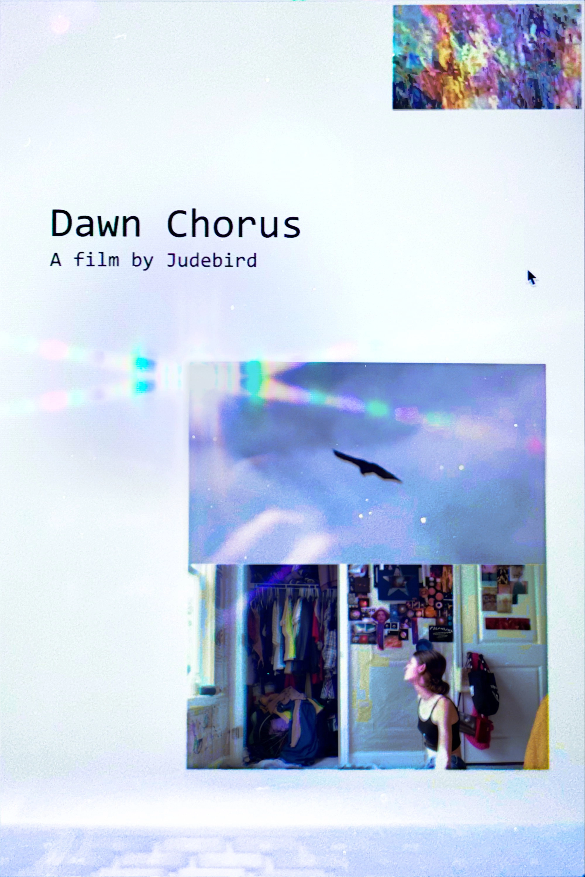 Dawn Chorus
