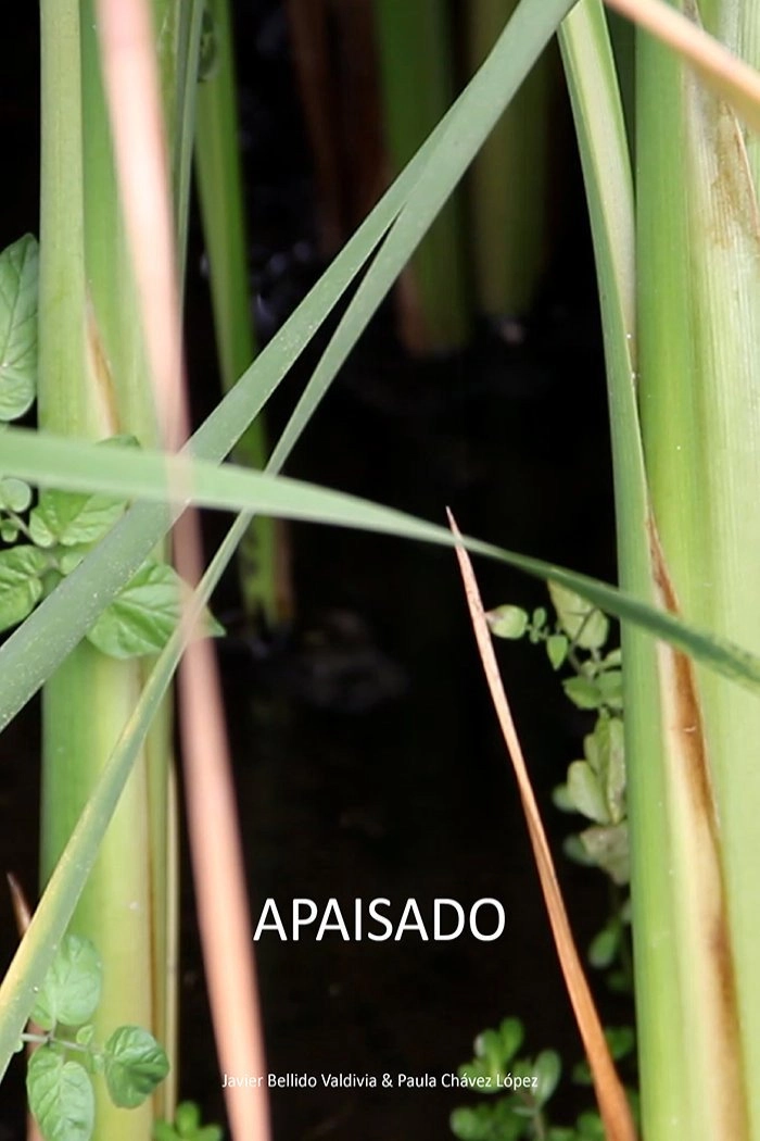 Apaisado