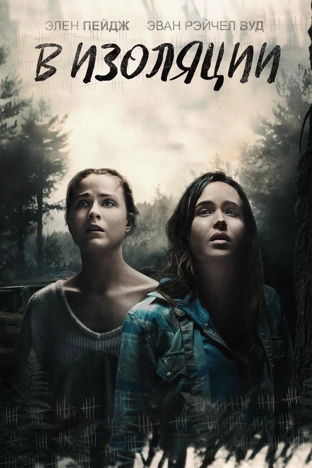 Into the Forest