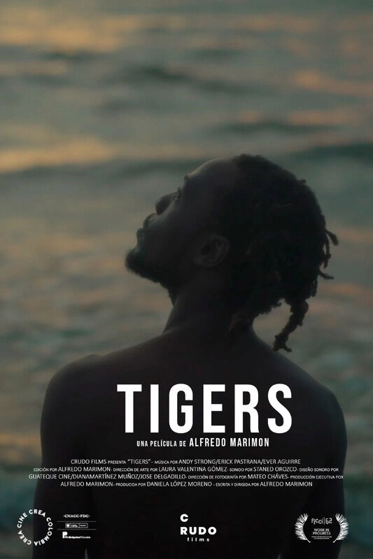 Tigers